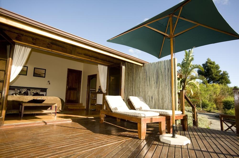 Elephant Hide Of Knysna Guest Lodge Екстериор снимка