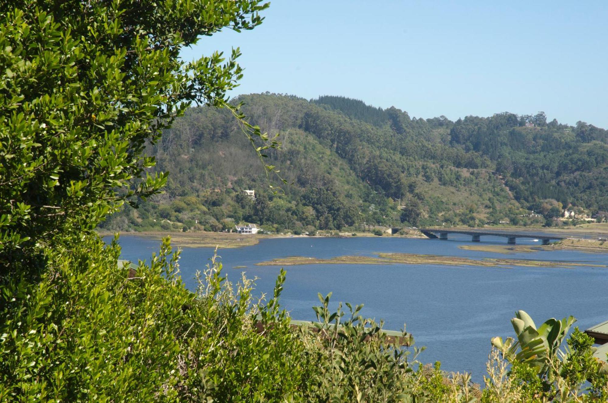Elephant Hide Of Knysna Guest Lodge Екстериор снимка
