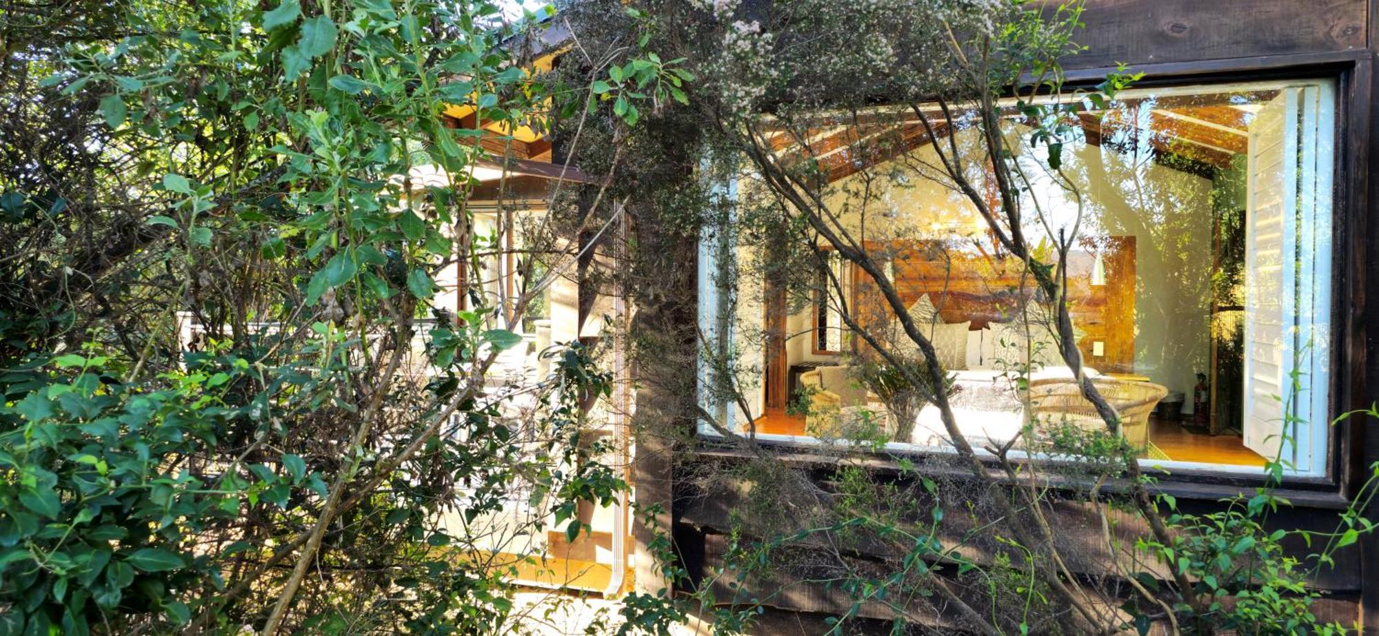 Elephant Hide Of Knysna Guest Lodge Екстериор снимка