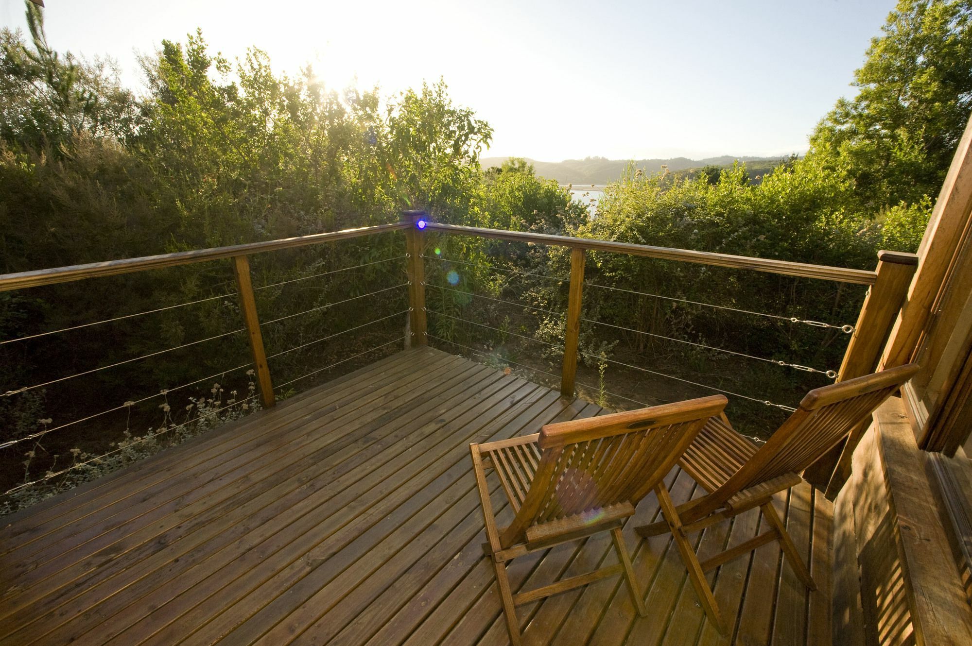 Elephant Hide Of Knysna Guest Lodge Екстериор снимка