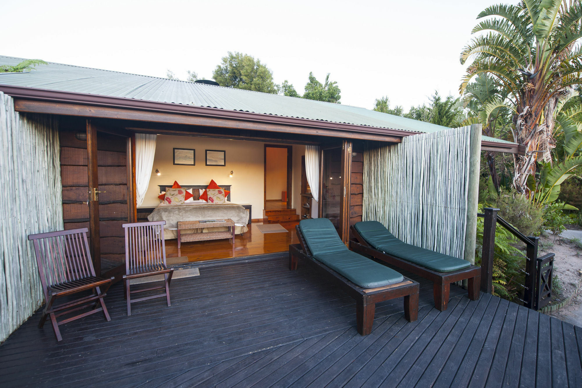 Elephant Hide Of Knysna Guest Lodge Екстериор снимка
